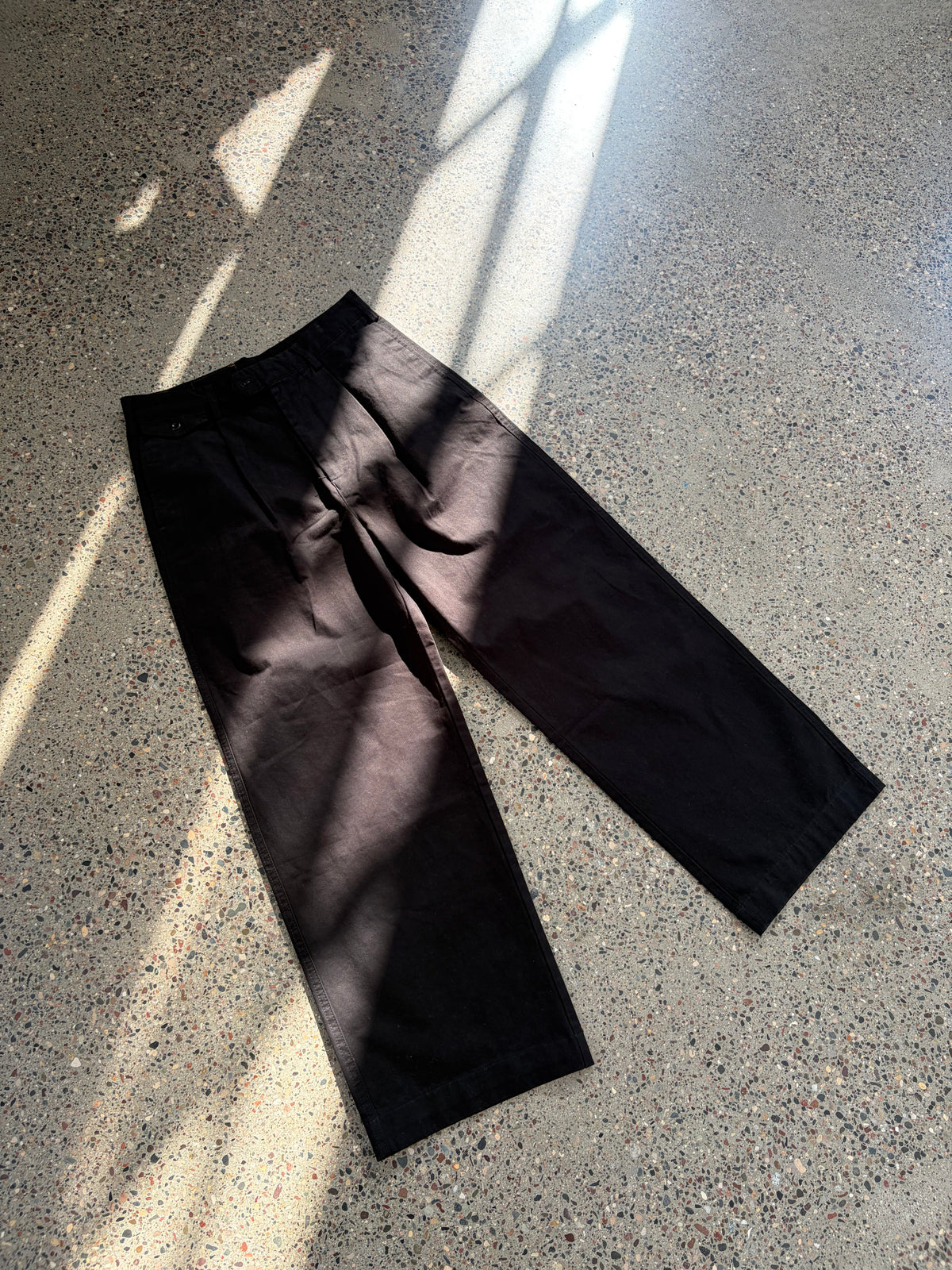 Pleated Pants
